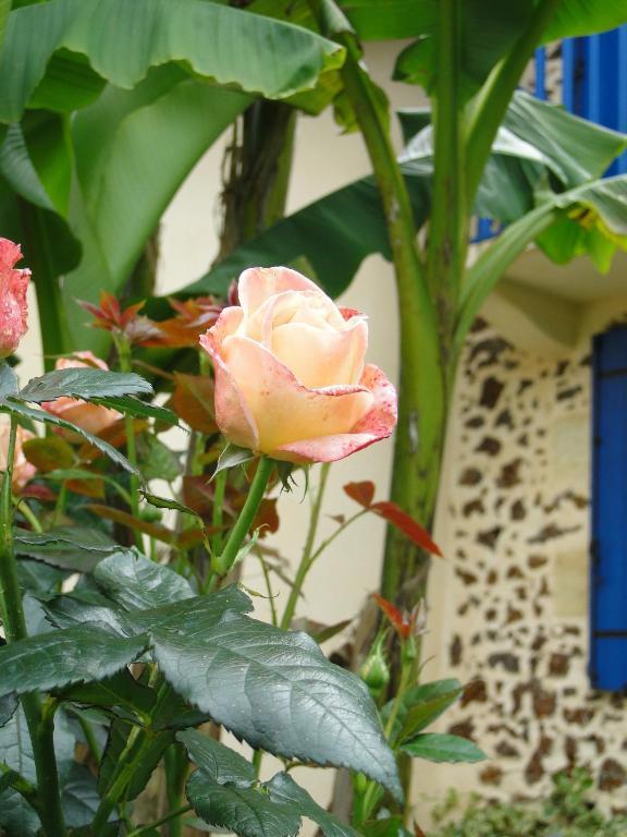 Bed and breakfast D'hotes L'airial *